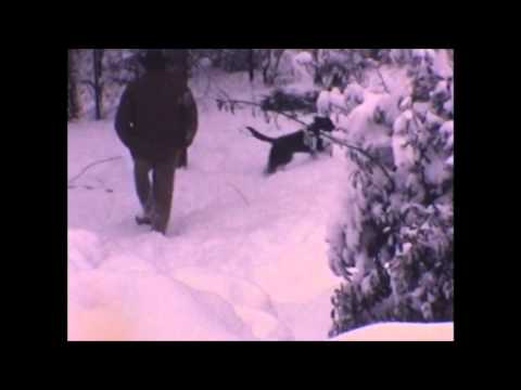 Record Snow Fall in Macon, Georgia 1973.wmv