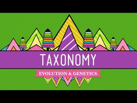 Taxonomy: Life's Filing System - Crash Course Biology #19