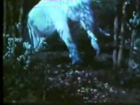 Safed Haathi (1978) hindi movie by TANAN