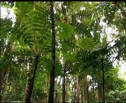 New Caledonia; a biodiversity gem of the South Pacific