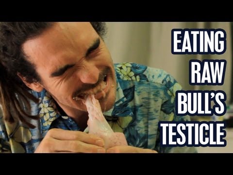 Eating Raw Bull's Testicle