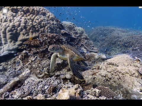 Explore the ocean with Google Maps