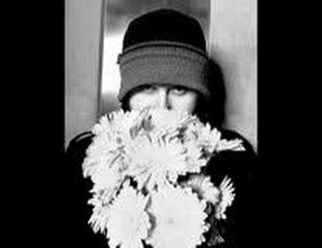 badly drawn boy - the shining