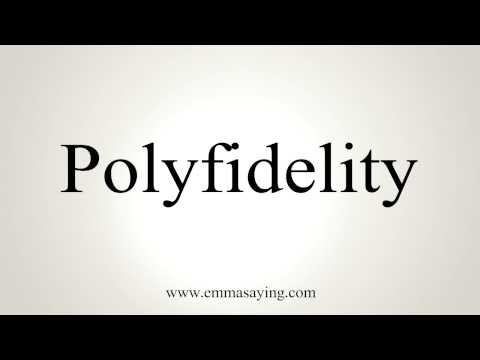 How to Pronounce Polyfidelity