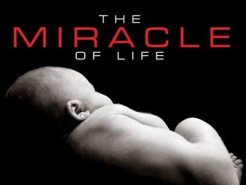 Pro-life | Right to Life Video | The Miracle of Life