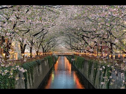 Travel around Tokyo City, a documentary about the Capital of Japan 東京シティ、日本の首都についてのドキュメンタリー一周旅行