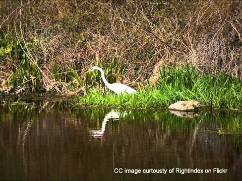 Norman Bird Sanctuary