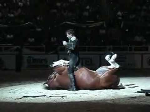 Funniest Horse Act Ever! Tommie Turvey and Pokerjoe!