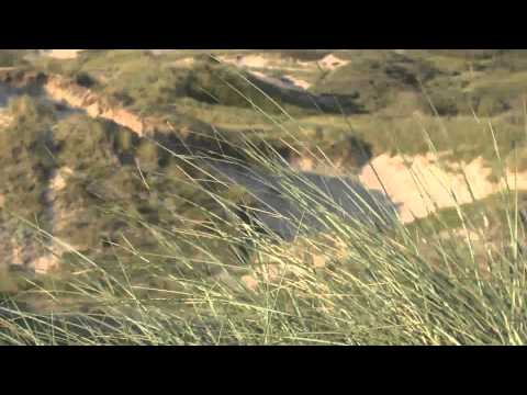 Egmond aan Zee - North Holland Full HD