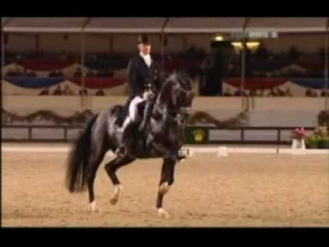 BEST DRESSAGE EVA-  Edward Gal and Moorlands Totilas