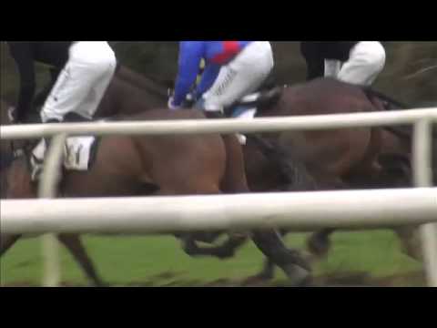 Wadebridge point-to-point 2014