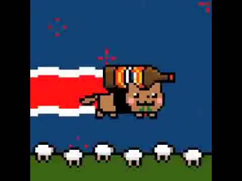 New Zealand Nyan Cat