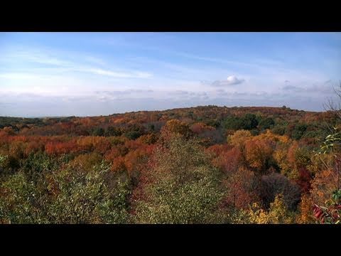 The City Concealed. Staten Island Greenbelt