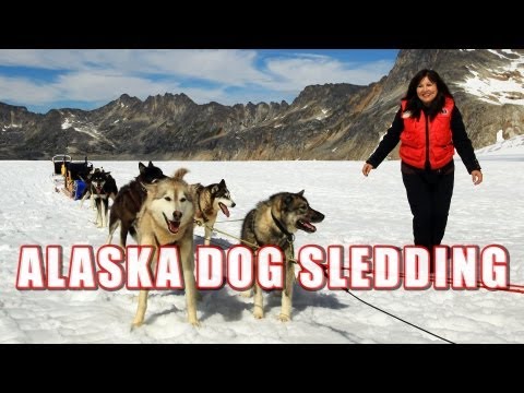 Alaska Dog Sledding (Full HD)