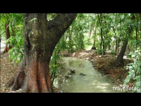 aarey milk colony part 2 / mumbai tour / tourist places in india