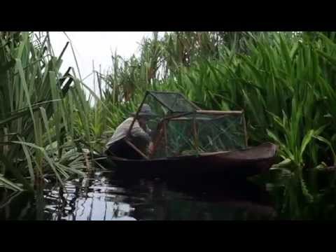 SUMATRA HIDDEN PARADISE - SERKAP RIVER VS BONO RIVER (KAMPAR, RIAU)