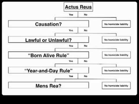 Mastering Criminal Law: The Mens Rea Example 