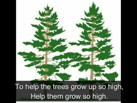 Tu Tu Tu B'shevat children's song - Leon