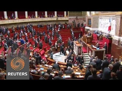 French lower house backs new prostitution law