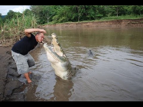 Hand Feeding the Largest Crocodile in Central America (Croc Man Tour, Costa Rica)