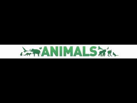 ANIMALS - Martin Harris (CHECHU)