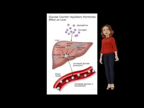 epinephrine and norepinephrine