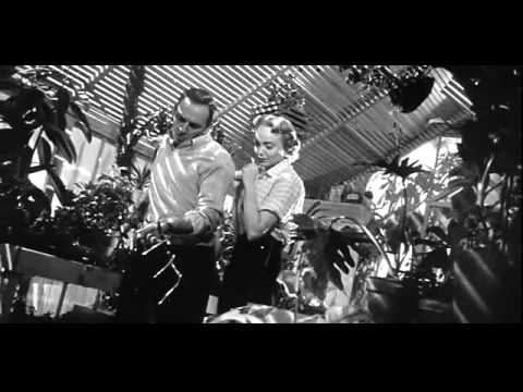 Invasion of the Body Snatchers Pod Scene 1956