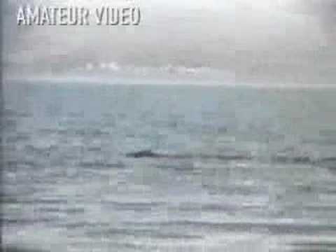 Lake Van Monster