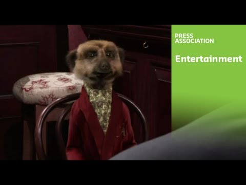 Gary Barlow & meerkat Aleksandr Orlov form unique partnership