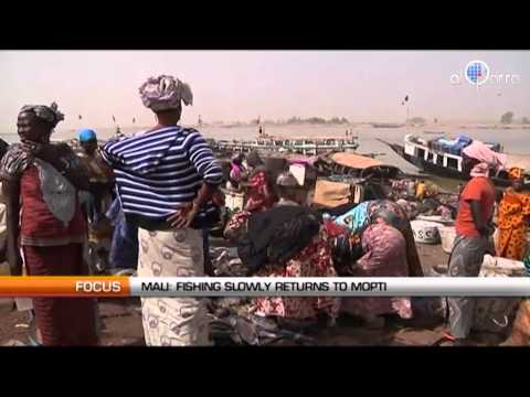 Mali: Fishing slowly returns to Mopti