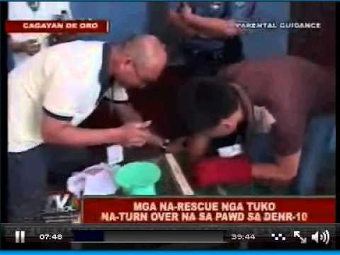 ABS-CBN Cagayan de Oro . News Tuko TV Patrol TV Patrol Northern Mindanao