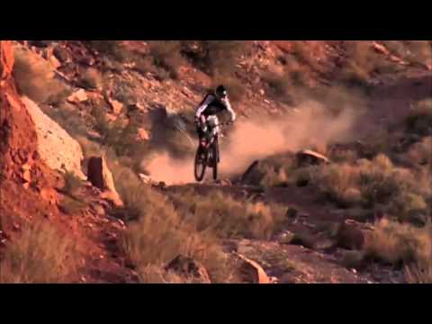 Dan Atherton- ANIMAL TEASER