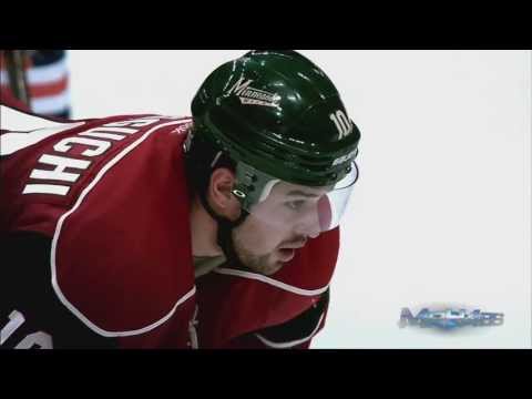 NHL Best of 2013 Season