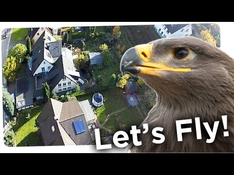 Let's Fly - ADLER fliegt mit KAMERA!