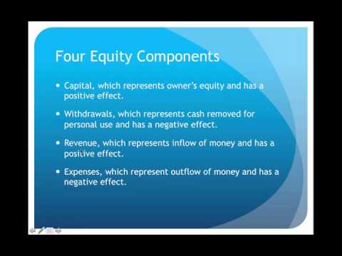 Accounting Equation and Basic FInancial Statements Lecture