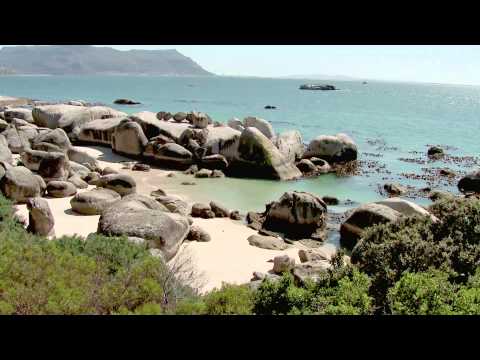 Cape Town - 12 Best Trips - 8168