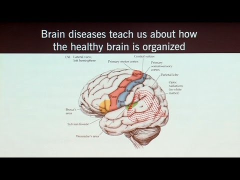 Brain Games that Capture Brain Circuits and What Neuroscience Tells Us about the Self