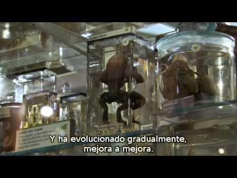 The Genius of Charles Darwin 3-Parte 3 (v.o.s.e.)