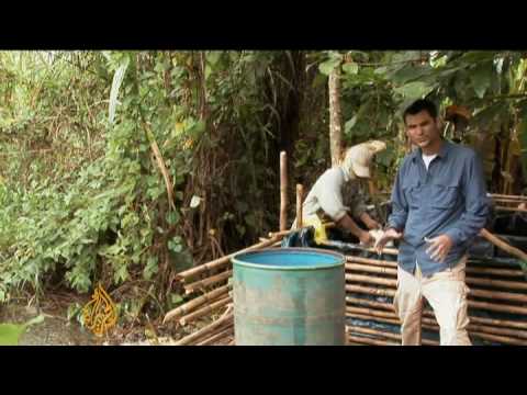 Coca-growing in Peru's Amazon - 11 May 09