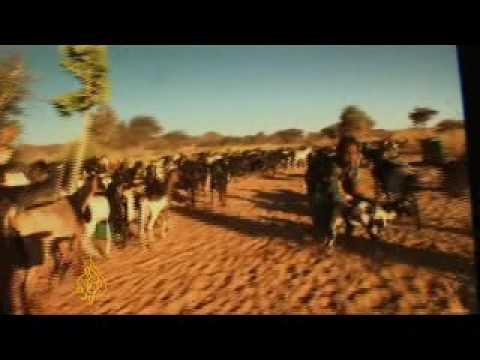 Desertification threatens Niger's nomads - 15 July 08