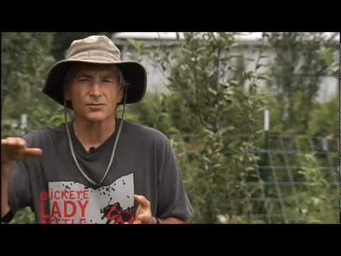 Intercropping and Polyculture.wmv