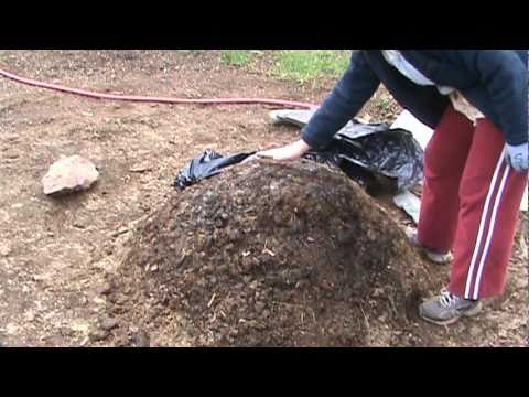 How to Compost Manure in Thirty Days