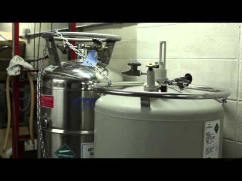 Filling and Maintenance of Liquid Nitrogen Tanks