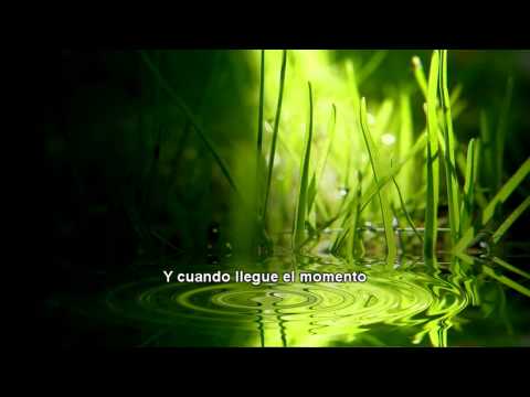 Ben Howard - Oats in the Water (Subtitulado Español)