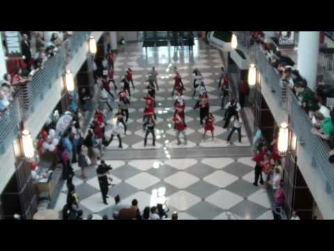 Flash Mob Dance at Ohio State's Union May 3, 2010