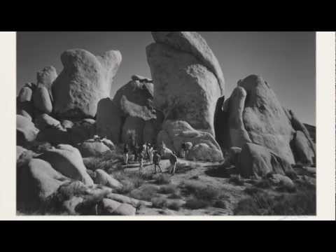 Ansel Adams' Zone System: Joshua Tree