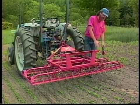 Weed-Control Machines - Fiddlehead Farm, Brownsville, VT