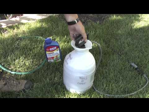 How to apply lawn weed killer