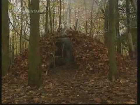 Country Tracks Episode 10 - Building a woodland shelter