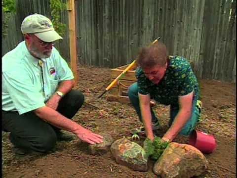 Southwest Xeriscapes - Texas - Angie Hannah